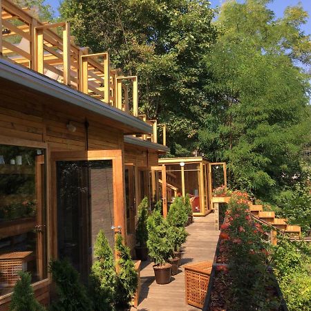 Skay Loft Bed & Breakfast Brasov Ngoại thất bức ảnh