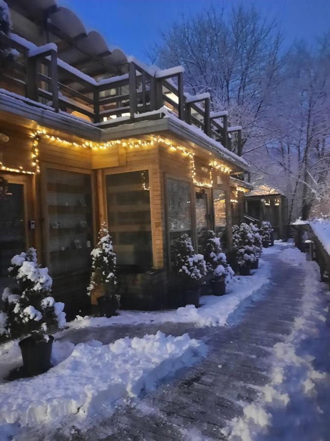 Skay Loft Bed & Breakfast Brasov Ngoại thất bức ảnh