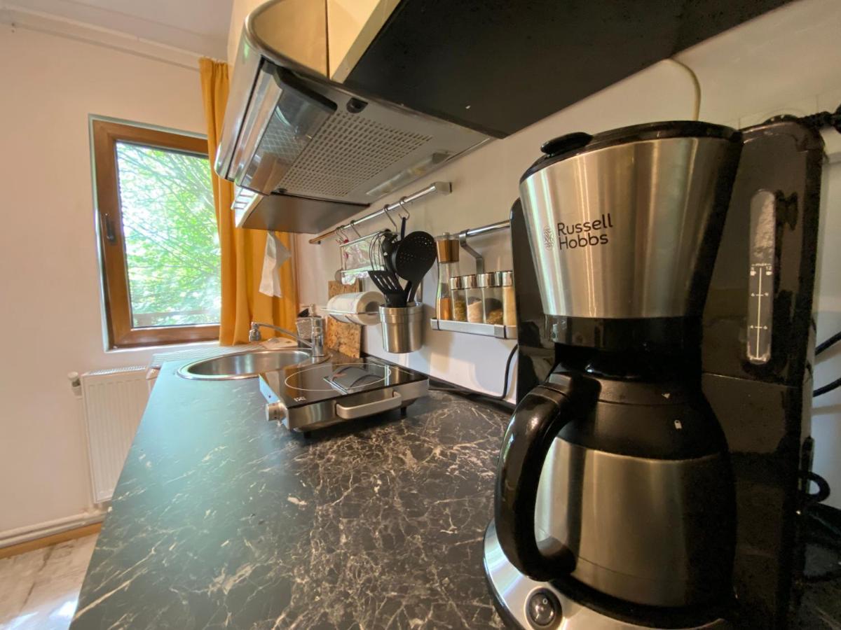 Skay Loft Bed & Breakfast Brasov Ngoại thất bức ảnh