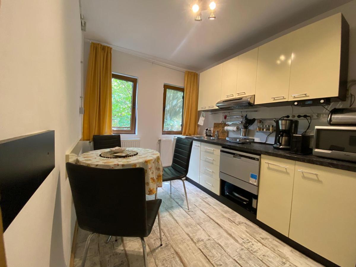Skay Loft Bed & Breakfast Brasov Ngoại thất bức ảnh