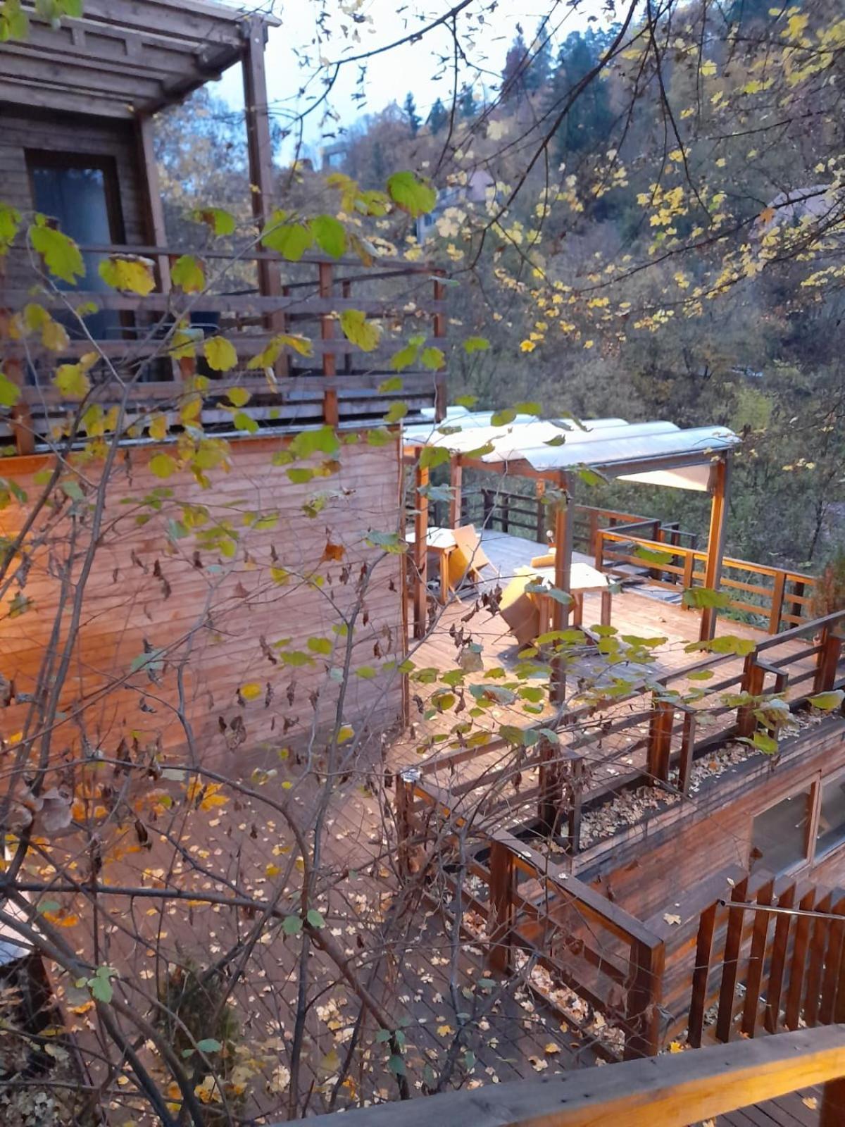 Skay Loft Bed & Breakfast Brasov Ngoại thất bức ảnh