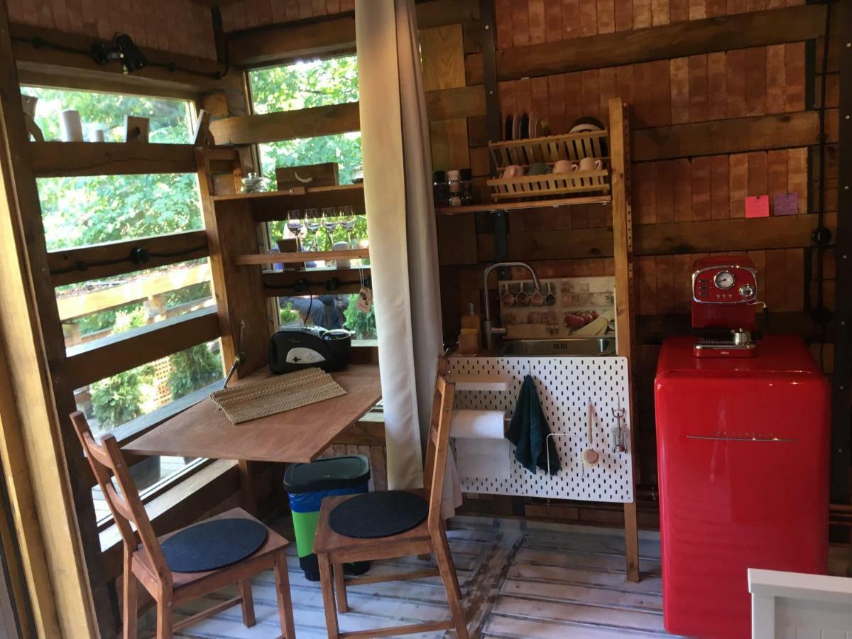 Skay Loft Bed & Breakfast Brasov Ngoại thất bức ảnh