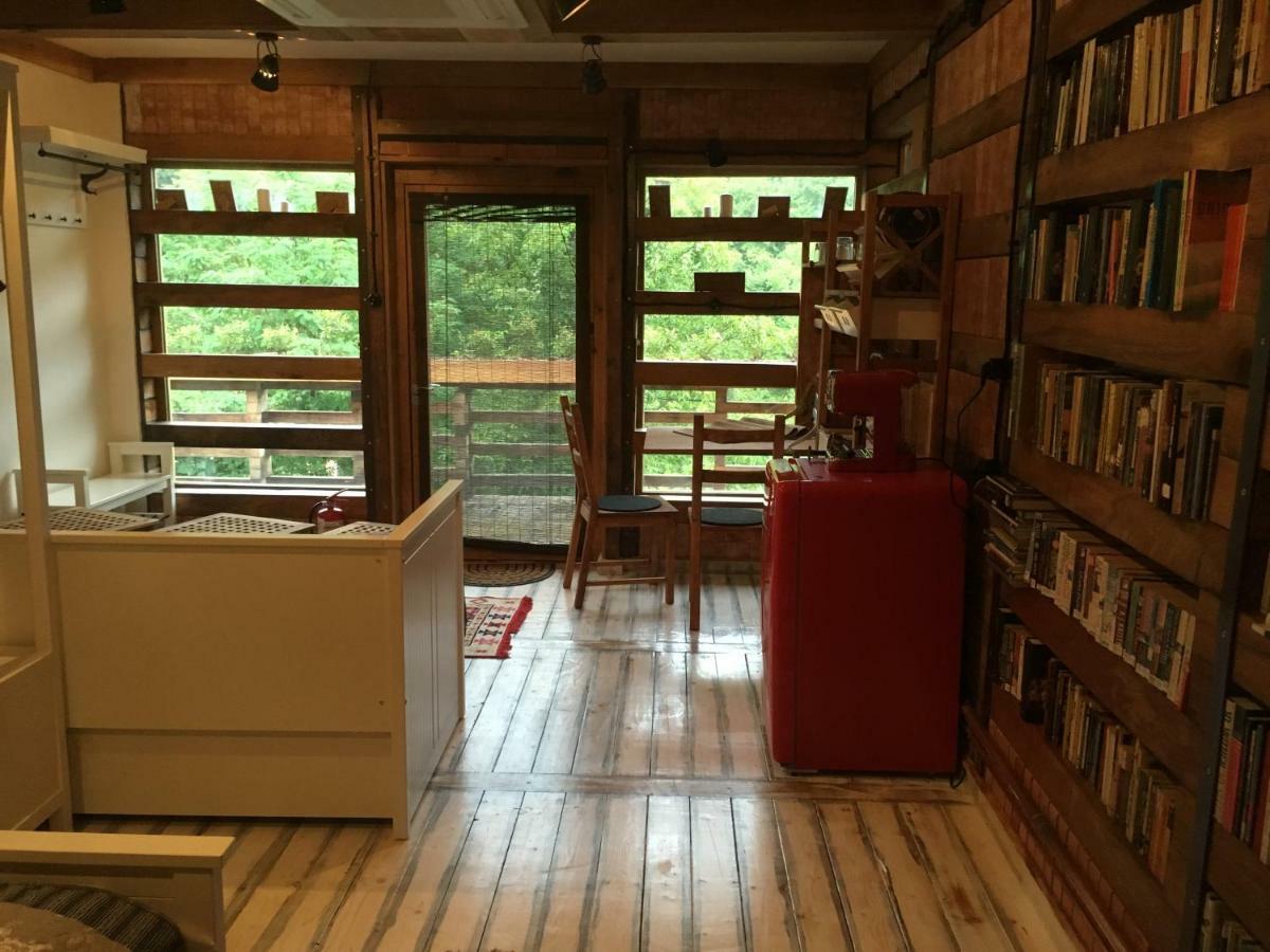 Skay Loft Bed & Breakfast Brasov Ngoại thất bức ảnh